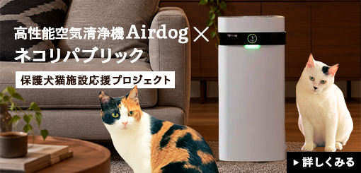 高性能空気清浄機Airdog