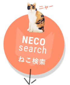 Necore Journal ネコリパブリック 日本の猫の殺処分をゼロに