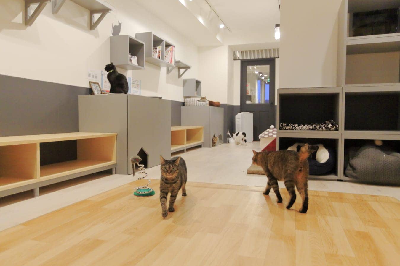 ネコリパブリック池袋店