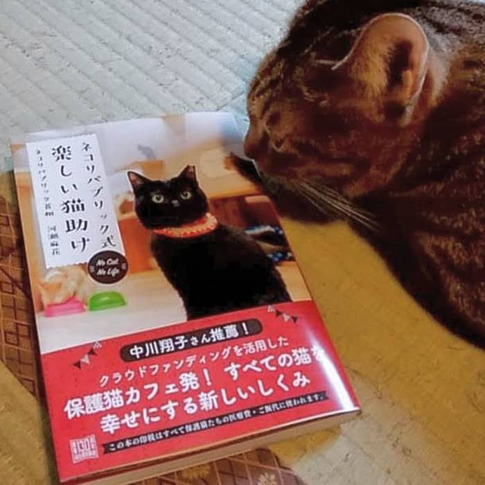 ネコリパブリック式楽しい猫助け（本）