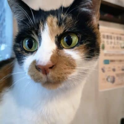 みのり
