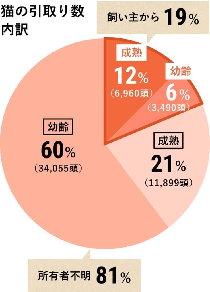 平成30年度猫の引取数内訳表