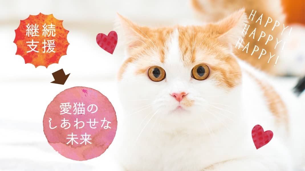 安心ねこ生活 猫生たすけあい制度 ネコリパブリック｜日本の猫の殺処分をゼロに！