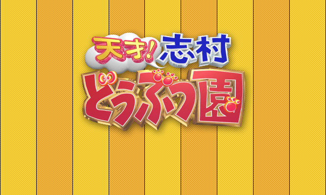 天才！志村どうぶつ園（日テレ）でネコリパブリックが特集されました