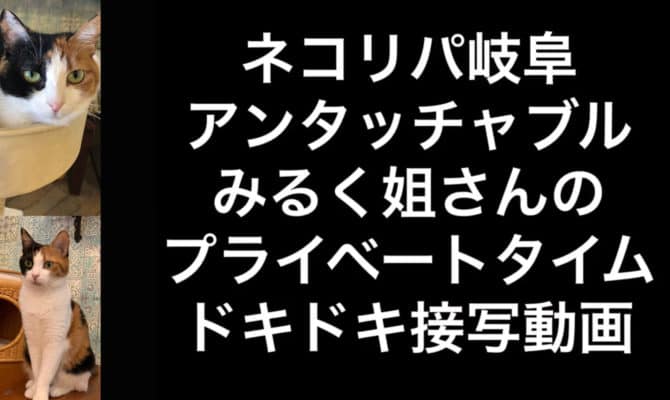 みるくの動画UPされました。