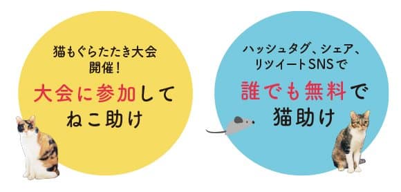 ホゴネコの日特別企画 ねこもぐらたたき大会 ネコリパブリック 日本の猫の殺処分をゼロに