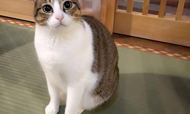 ＼梨花ちゃんのお届け／