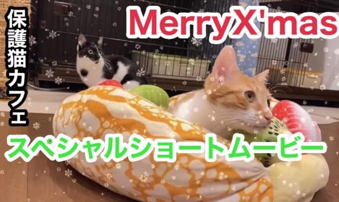 クリスマススペシャル！【ショートムービー】