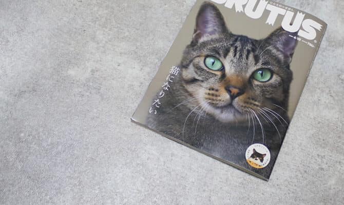 「BRUTUS（4月号：猫になりたい）」にて「ねこじゃらすり」「SABI CARD CASE」を取り上げていただきました。