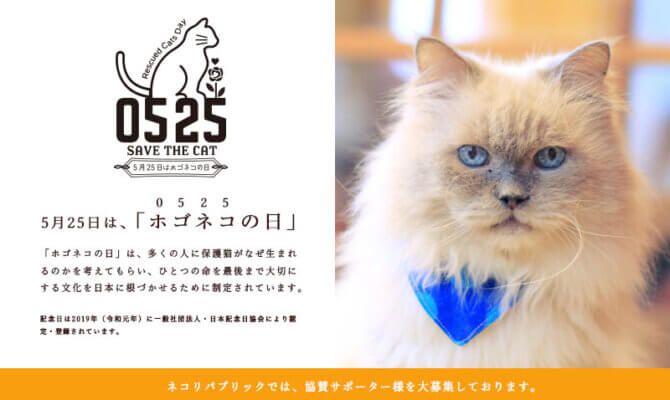 5月25日ホゴネコの日　指１本でできる猫助けキャンペーン開催中　６月３０日まで