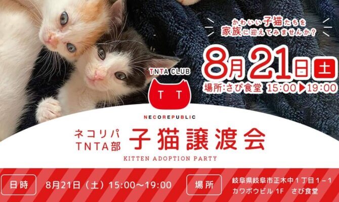 8月21日土曜日は　子猫譲渡会