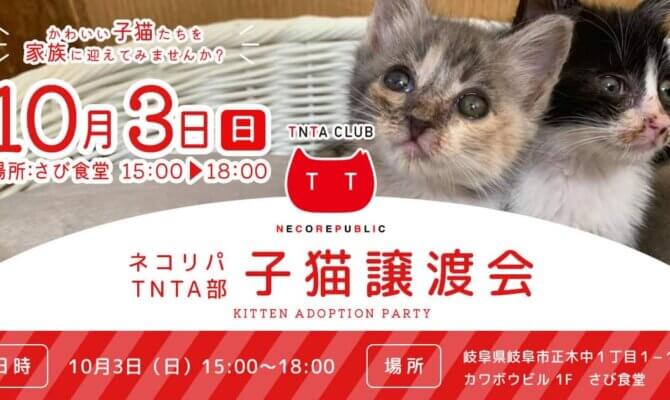 10月3日 日曜日は　子猫譲渡会@さび食堂