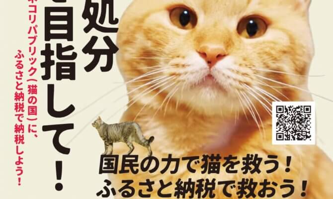 ふるさと納税したことない人に、絶対したほうが得だし、猫助けになることを説得してみた結果、、、絶対やらなきゃ！ってなったお話　その１　会社経営者編