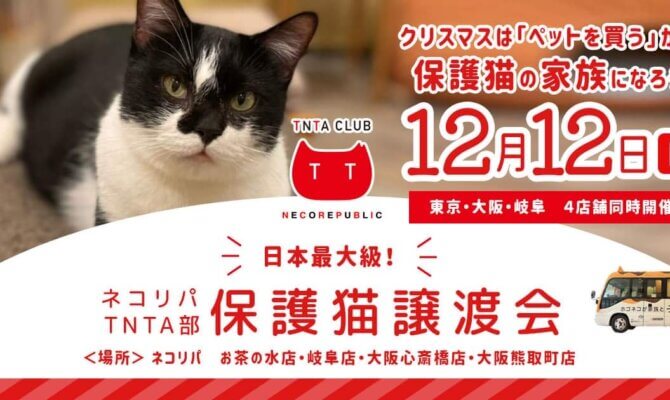 12月12日 りんご猫の日は　日本最大級！保護猫譲渡会　東京・大阪・岐阜のネコリパで同時開催！「クリスマスにはペットを買う」から、保護猫の家族になろう！