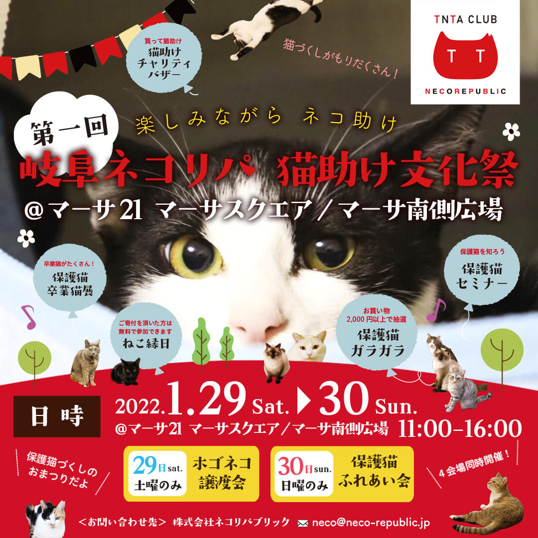1月29日30日は！岐阜ネコリパ猫助け文化祭 | ネコリパブリック｜日本の