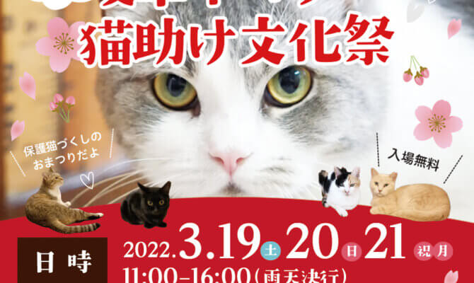 3月19日20日21日は！岐阜ネコリパ猫助け文化祭@オアシスパーク