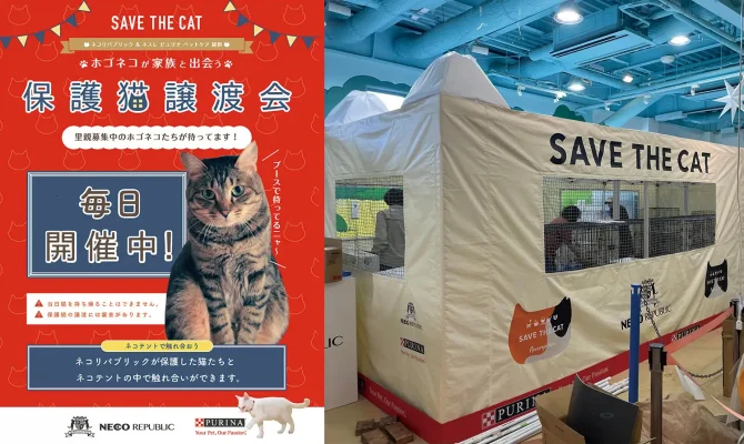 日本初！アトラクションのような巨大ネコ型テントを使った保護猫譲渡会が、岐阜県最大級の複合型レジャー公園・オアシスパークで2ヶ月半開催。