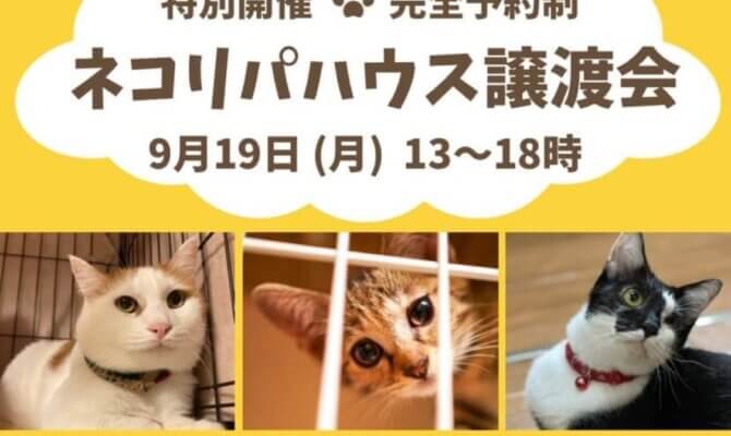 ネコリパハウス高円寺で初の譲渡会を開催しますニャ！