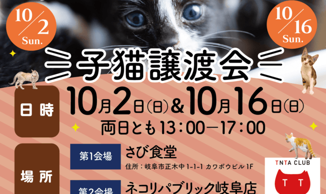 10月16日も！岐阜県最大級　子猫＆保護猫譲渡会！50匹以上の可愛い子猫が大集合！ネコリパ岐阜で、子猫だらけの譲渡会を開催！