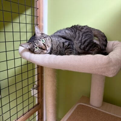                                 岩崎ちひろ【高円寺】