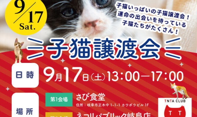 9月17日は、40匹以上の可愛い子猫が大集合！ネコリパ岐阜で、子猫だらけの譲渡会を開催！