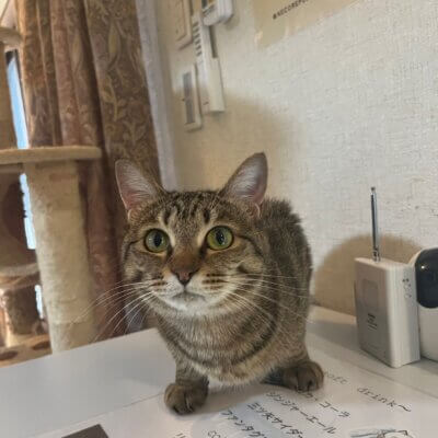はーしー【滋賀店】