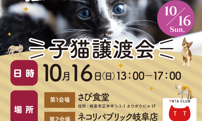 10月16日も！岐阜県最大級　子猫＆保護猫譲渡会！50匹以上の可愛い子猫が大集合！ネコリパ岐阜で、子猫だらけの譲渡会を開催！