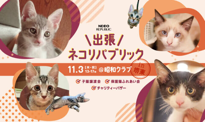 11月3日は！大阪、堺東で初開催！出張ネコリパ　子猫譲渡会・保護猫ふれあい会・チャリティーバザー等　ビルまるごと猫まみれ！　