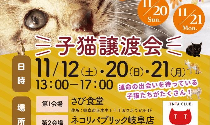 11月12日も！岐阜県最大級　子猫＆保護猫譲渡会！50匹以上の可愛い子猫が大集合！ネコリパ岐阜で、子猫だらけの譲渡会を開催！