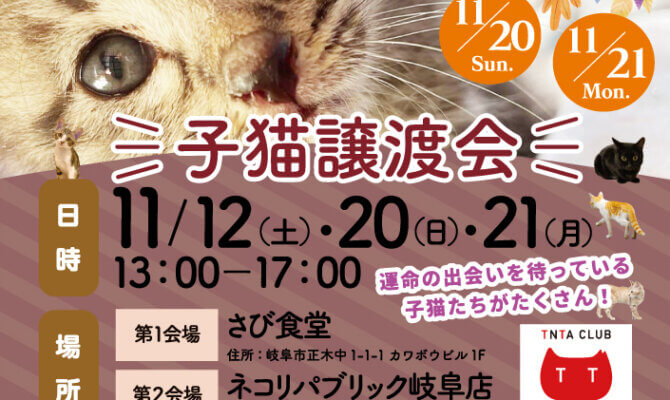 11月20日（日）21日（月）は！岐阜県最大級　子猫＆保護猫譲渡会！初の平日開催決定！！！50匹以上の可愛い子猫が大集合！ネコリパ岐阜で、子猫だらけの譲渡会を開催！