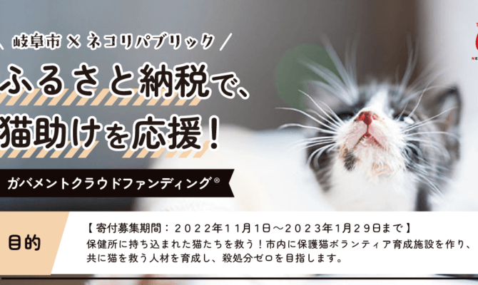 保健所に持ち込まれた猫たちを救う！ 市内に保護猫ボランティア育成施設を作り、猫を救う人材を育成し、殺処分ゼロを目指す！