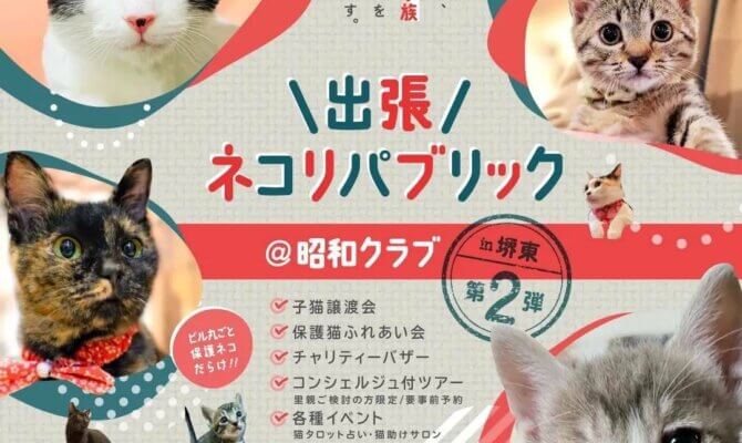 第二回！！大阪、堺東で出張ネコリパ　子猫譲渡会・保護猫ふれあい会・チャリティーバザー等　ビルまるごと猫まみれ！　