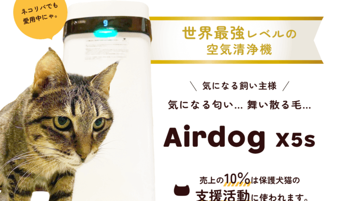 「Airdog × ネコリパブリック」売り上げの10％が保護猫活動に役立つ！保護犬猫の保護活動応援プロジェクト、開始！
