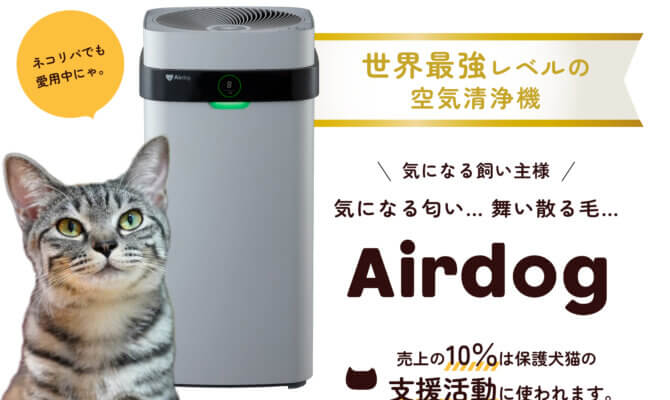 「Airdog × ネコリパブリック」売り上げの10％が保護猫活動に役立つ！保護犬猫の保護活動応援プロジェクト