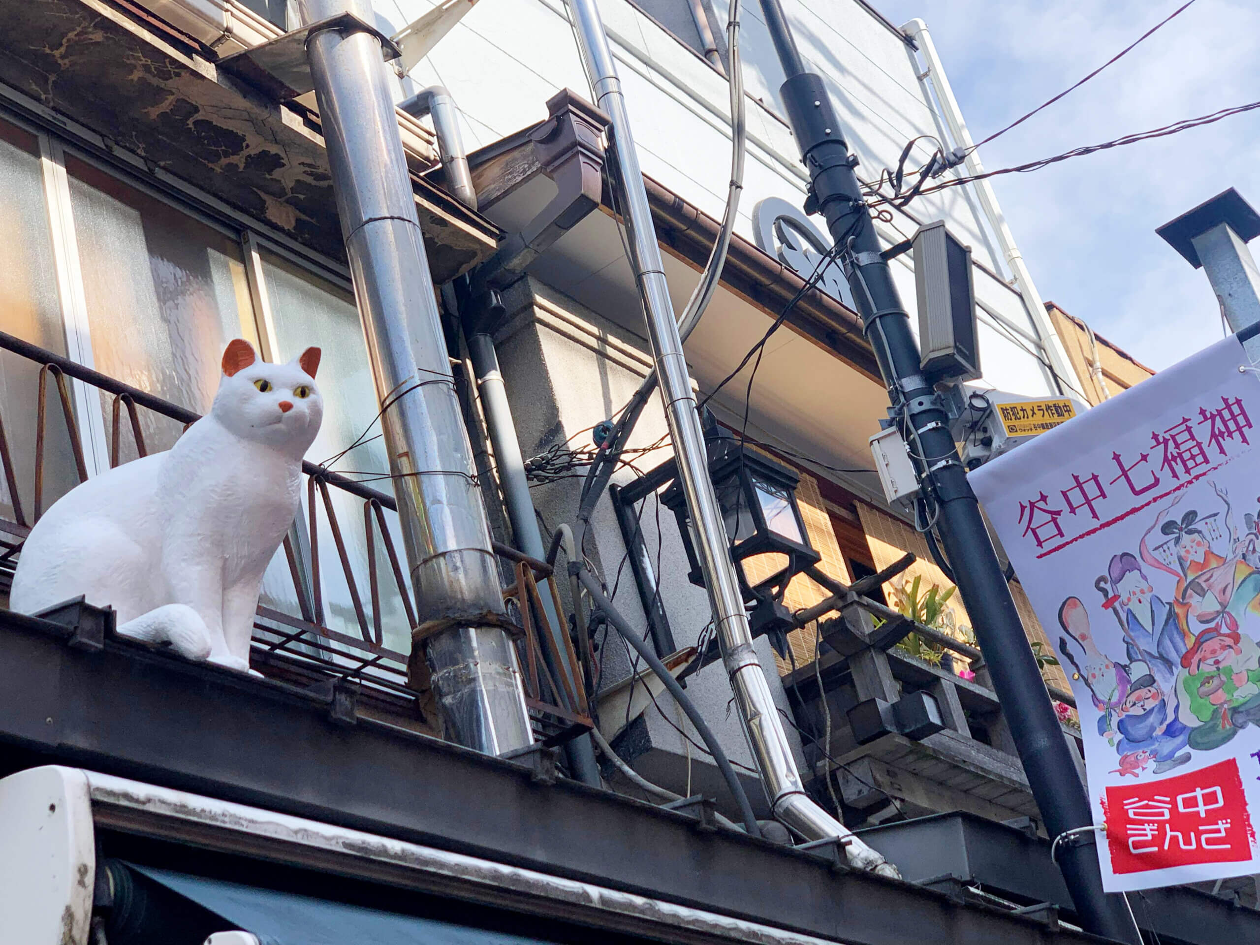 ネコリパブリック東京谷中　しにものぐるい店