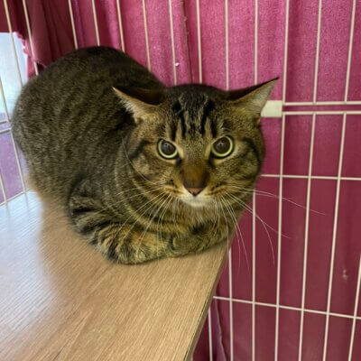 クニット【岐阜店】