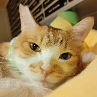                                 ジェシー【大阪】