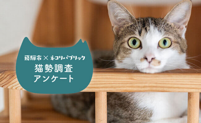 国勢調査ならぬ「猫勢調査」？！　岐阜県飛騨市にて、ふるさと納税を活用して、日本初！猫勢調査がスタート！猫も、人も快適な暮らし・猫が原因で起こる問題の根本解決を目指します。