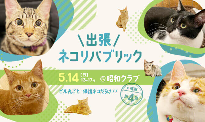 大阪浴場♨️主催、出張ネコリパin昭和クラブ開催します！！！５月１４日（日）は大阪堺東にお越しください！３０匹を超えるかわいい猫たちに会える保護猫譲渡会と人気のチャリティバザーも開催！