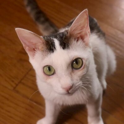                                 紅(こう)【お茶の水】