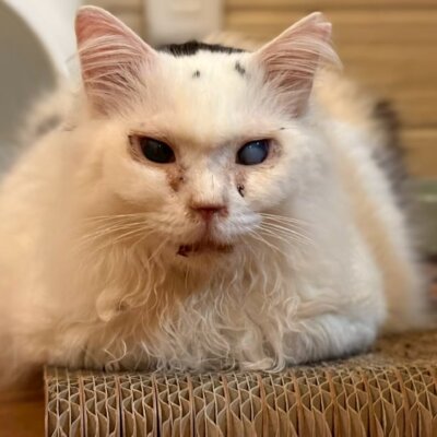 クイーン【岐阜店】