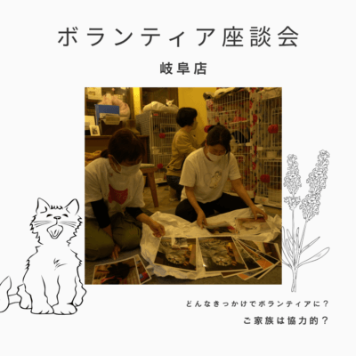 岐阜店〉保護猫ボランティア座談会 その② | ネコリパブリック|日本の