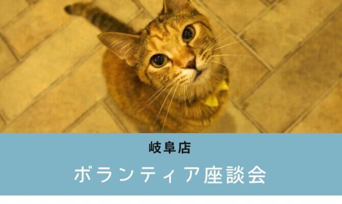 〈岐阜店〉保護猫ボランティア座談会－預かり編－　その②