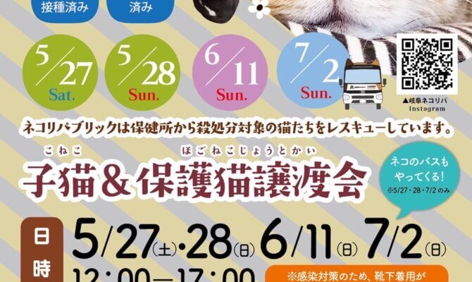 6月11日（日）！岐阜県最大級　子猫＆保護猫譲渡会!　「かわいい」が止まらにゃい！！！