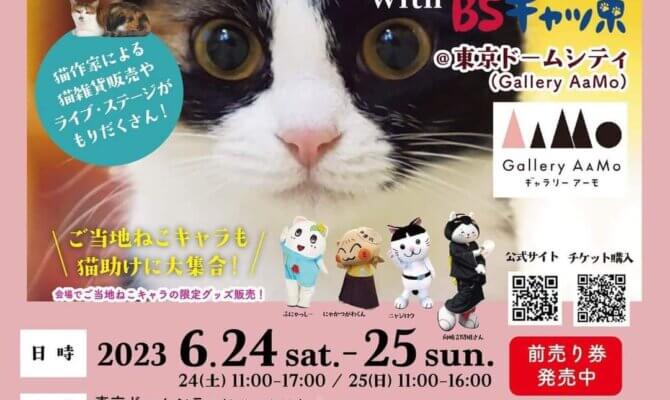 日本最大級伝説の保護猫イベント内で、譲渡会もやります！！！