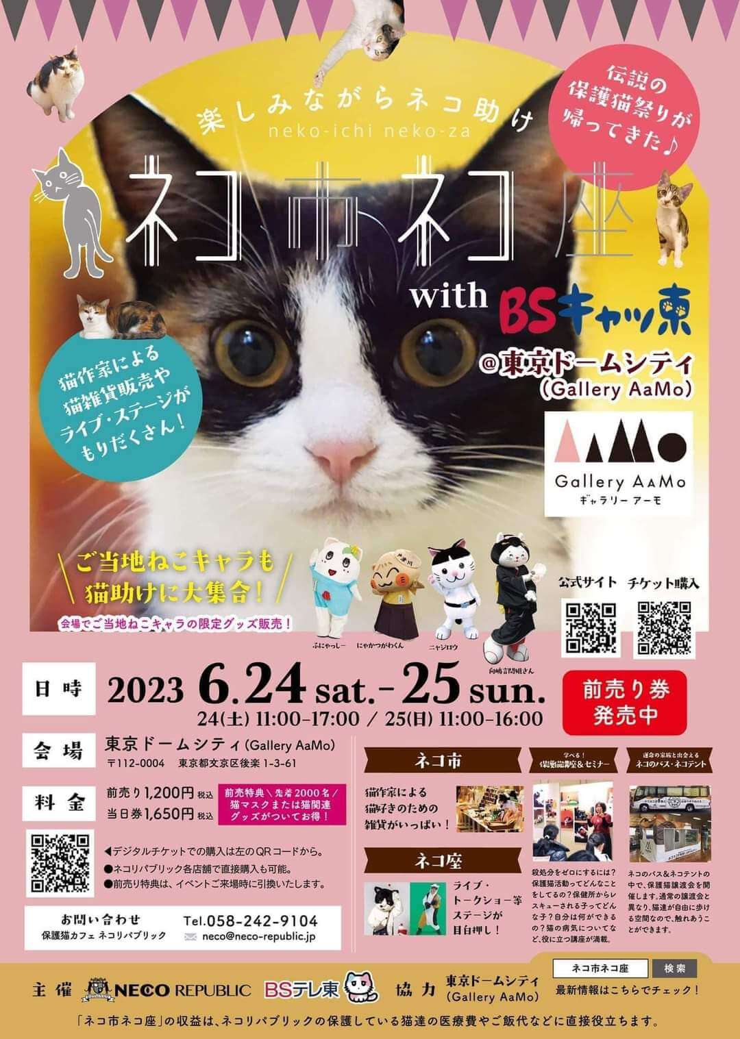 日本最大級伝説の保護猫イベント内で、譲渡会もやります
