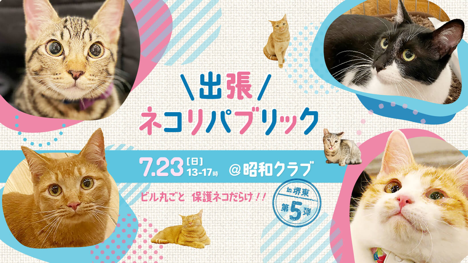 大阪にお住いの方必見！！第5回出張ネコリパin昭和クラブ開催決定