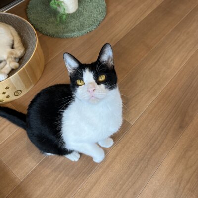 バルー【滋賀店】