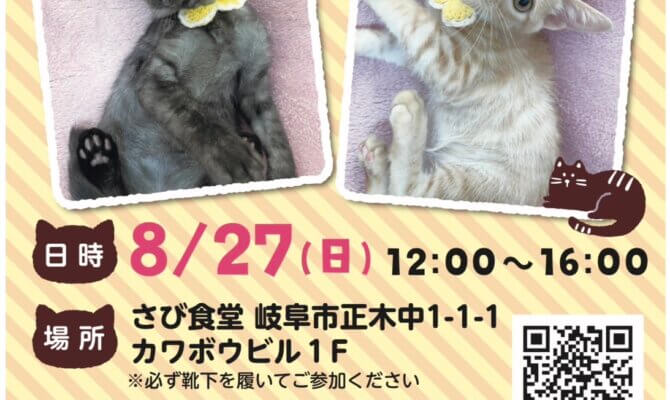 8月27日開催！岐阜県最大級　子猫＆保護猫譲渡会！すくすく育ったスリゴロの可愛い子猫や、一緒に過ごしやすい個性派揃いの大人猫が大集合！