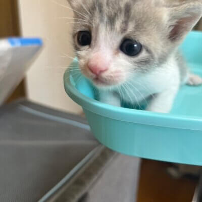 ピオノ【飛騨】